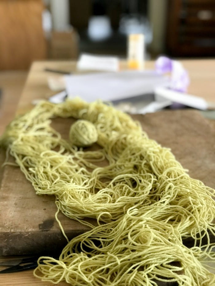 hank of wool dyed with broom