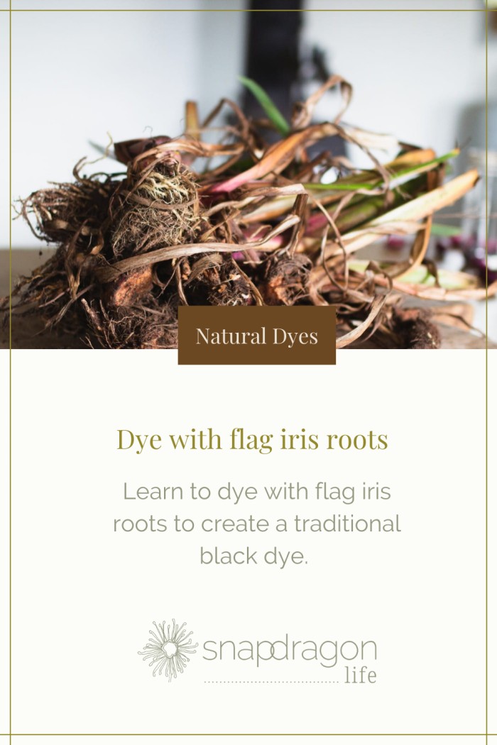 How to dye linen with flag iris roots