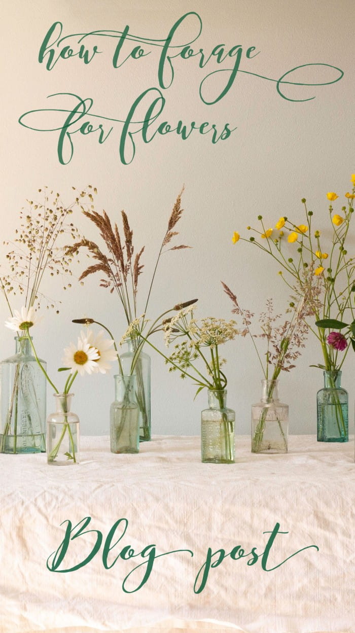 foraging for grass and other flowers