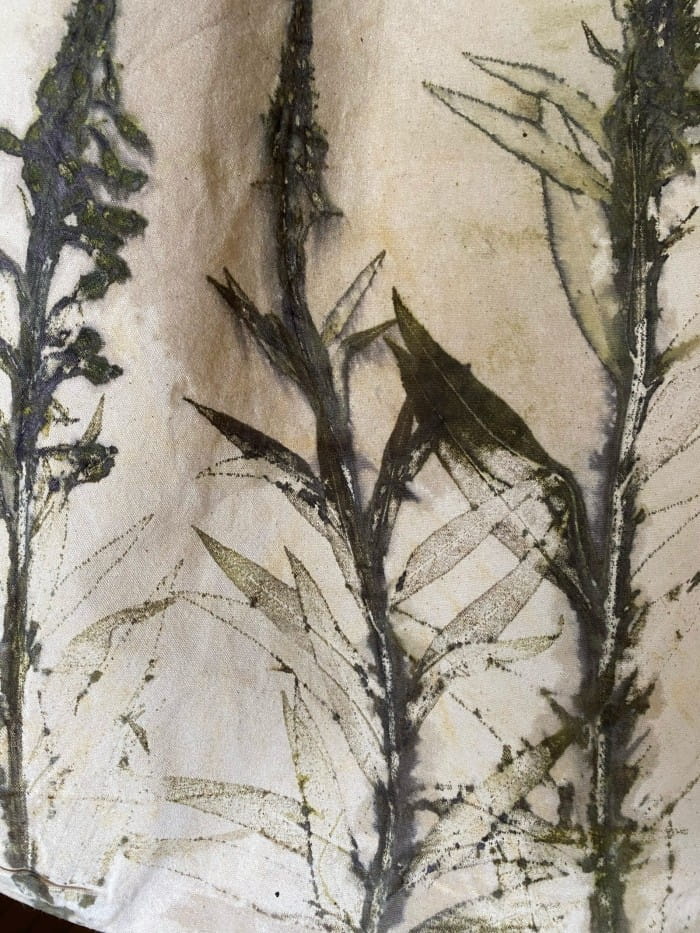 eco print with willow herb