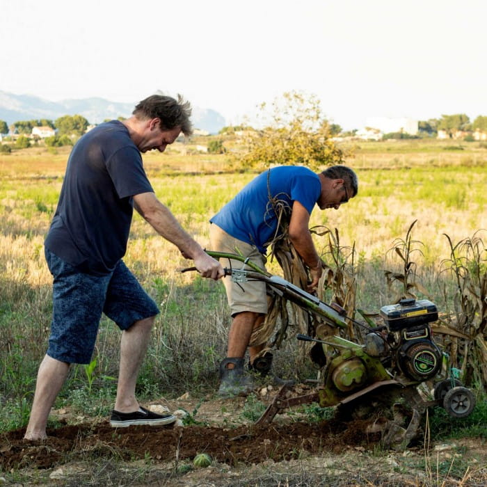 small farm in mallorca
