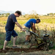 Traditional small scale agriculture