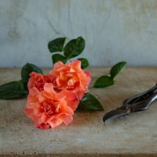 Five good things I've learned from having a chronic auto immune disease