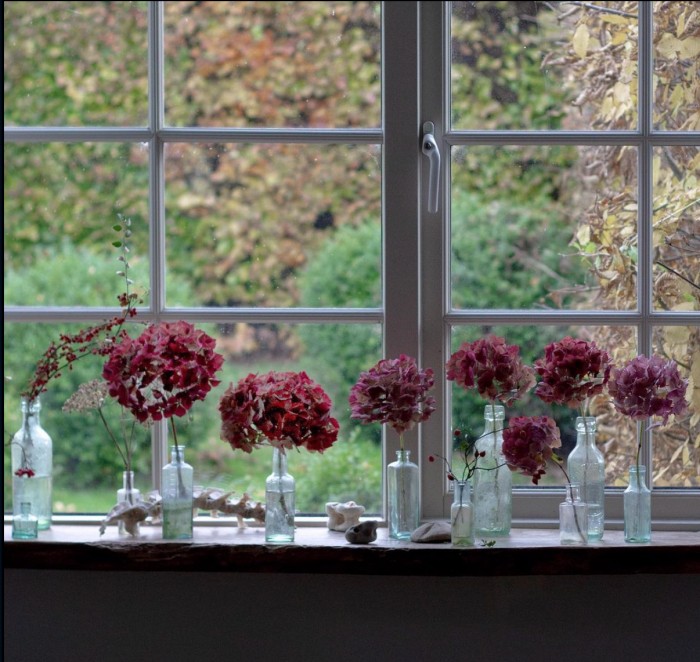 hydrangeas on windowsill