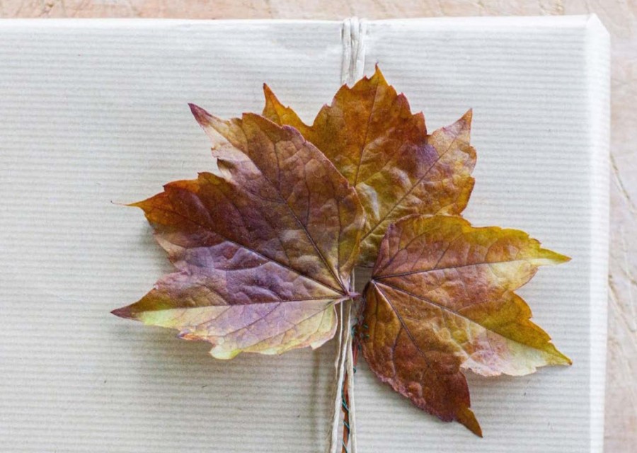 Eco gift wrap