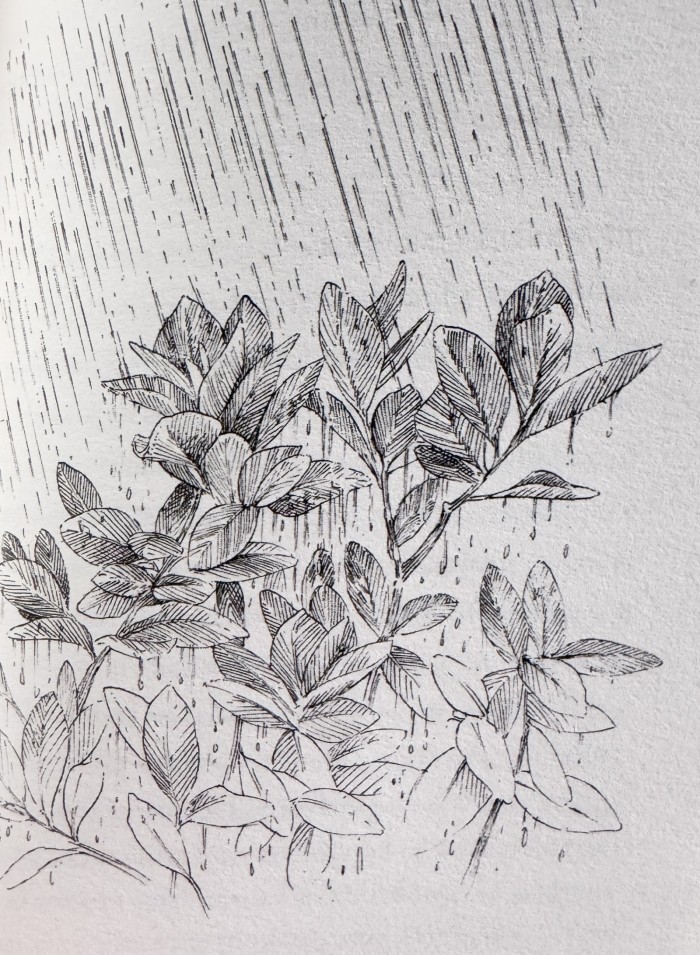 service berries in rain