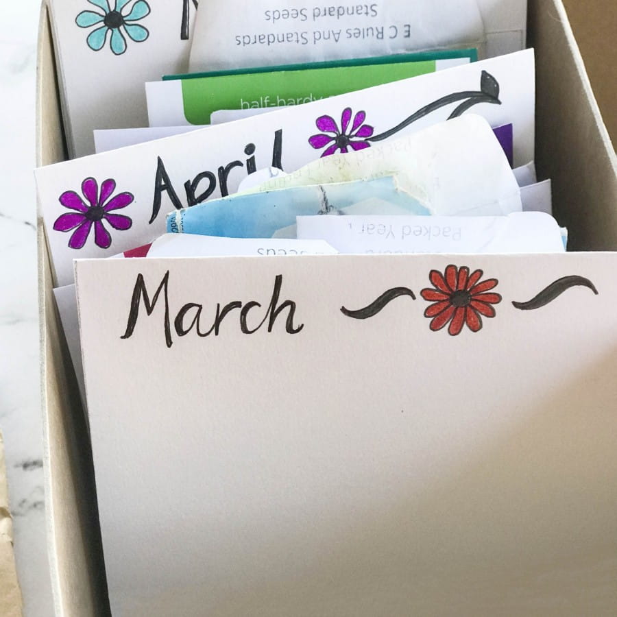storing seeds for successional planting