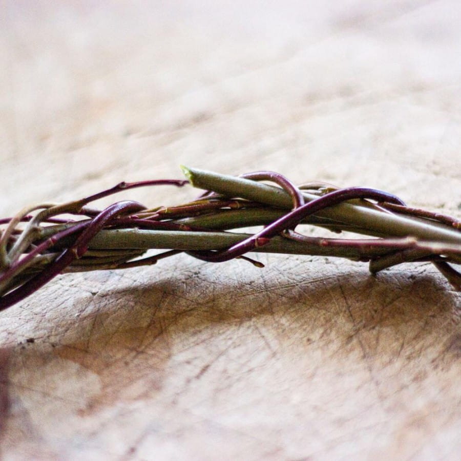 making a willow ring