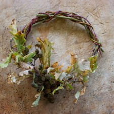 Make a gilded oak wreath