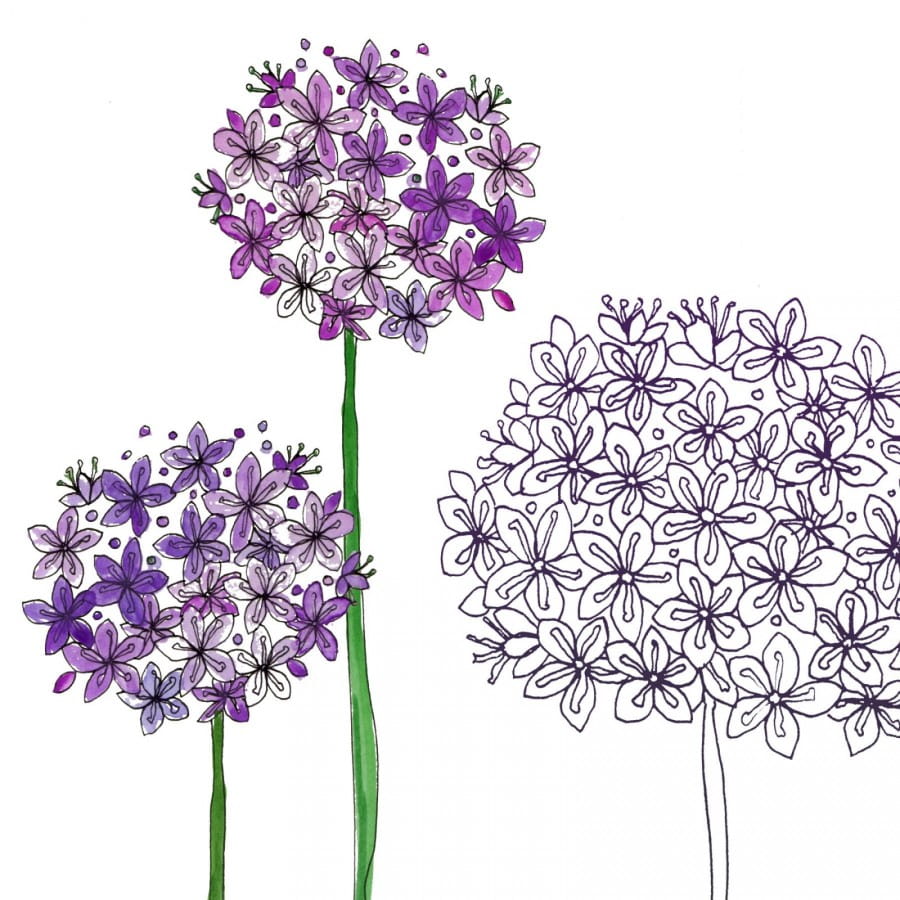 alliums by airstream