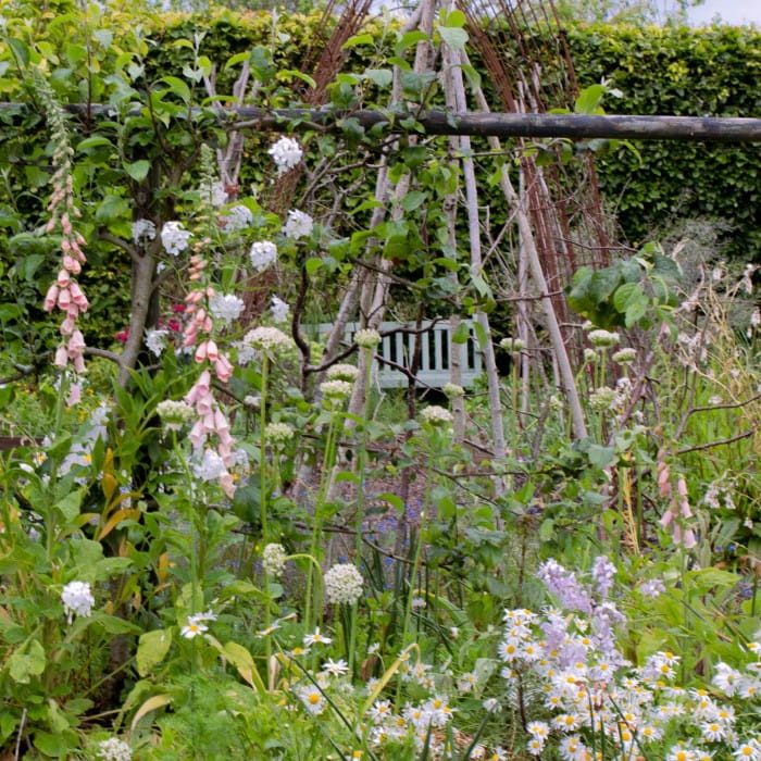 Cottage garden at Snapdragon Life, Scotland