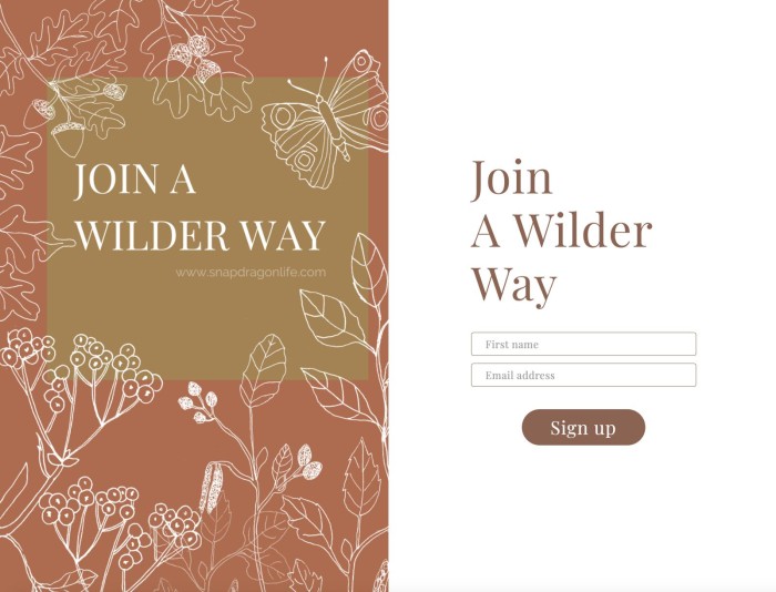 sign up to A wilder Way course