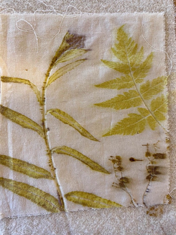 Rosebay willow herb botanical print